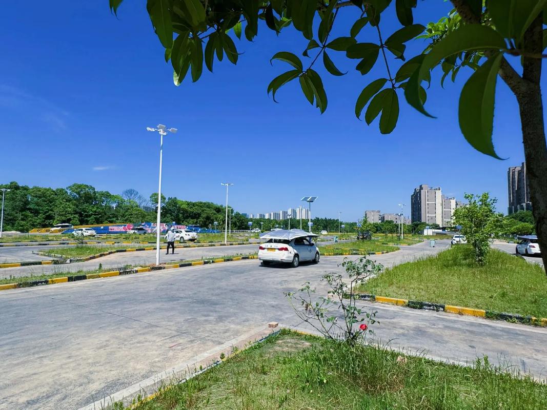 娄底驾校哪里比较好