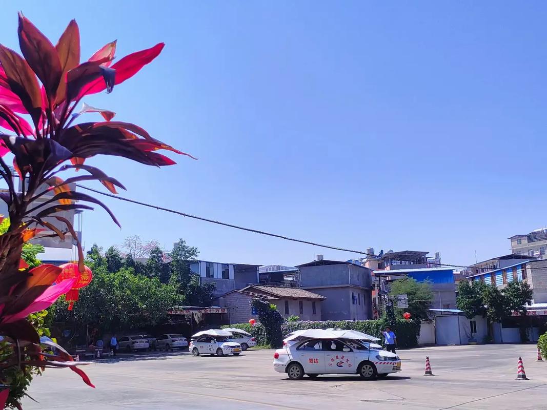 娄底驾校电话号码多少